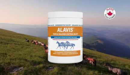 Alavis ako kĺbová výživa? Konsky silná, no existuje aj jej alternatíva, ktorá je určená pre ľudí!